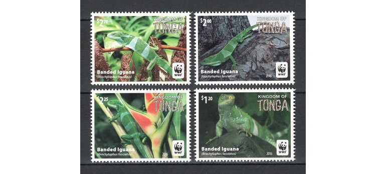 TONGA 2016 - IGUANE, FAUNA WWF - SERIE DE 4 TIMBRE - NESTAMPILATA - MNH / reptile114